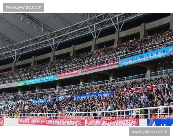 内蒙古业余足球联赛：推动地方足球发展与社区互动的力量